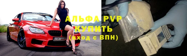 крисы Касимов