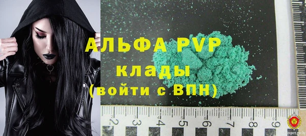 тгк Каменка