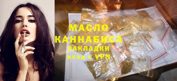 тгк Каменка