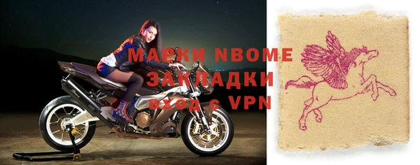 индика Анива